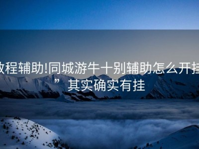 教程辅助!同城游牛十别辅助怎么开挂,”其实确实有挂