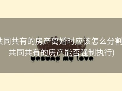 共同共有的房产离婚时应该怎么分割 (共同共有的房产能否强制执行)