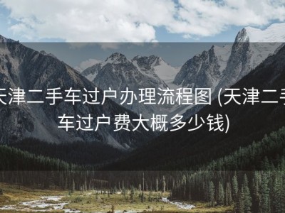 天津二手车过户办理流程图 (天津二手车过户费大概多少钱)