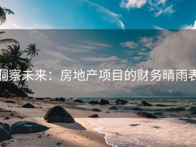 洞察未来：房地产项目的财务晴雨表