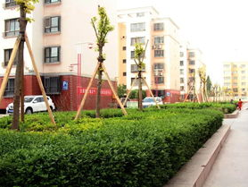 住宅区环境卫生,住宅区环境卫生的重要性与维护策略