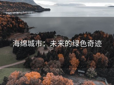 海绵城市：未来的绿色奇迹