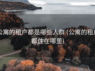 公寓的租户都是哪些人群 (公寓的租户都住在哪里)