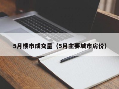 5月楼市成交量（5月主要城市房价）