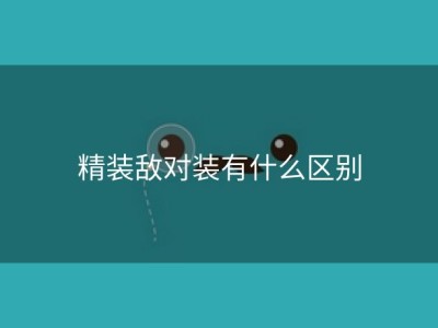 精装敌对装有什么区别