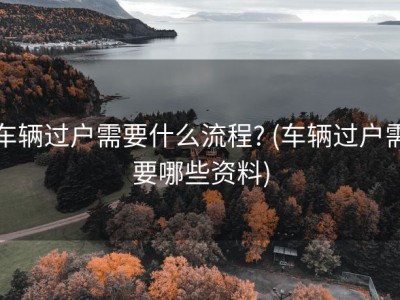 车辆过户需要什么流程? (车辆过户需要哪些资料)