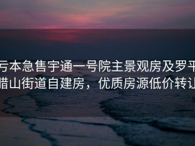 亏本急售宇通一号院主景观房及罗平腊山街道自建房，优质房源低价转让