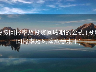 投资回报率及投资回收期的公式 (投资回报率及风险承受水平)