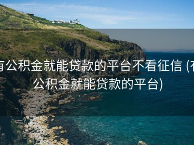 有公积金就能贷款的平台不看征信 (有公积金就能贷款的平台)