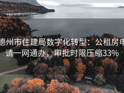 德州市住建局数字化转型：公租房申请一网通办，审批时限压缩33%