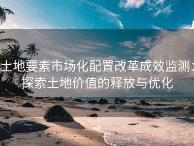 土地要素市场化配置改革成效监测：探索土地价值的释放与优化
