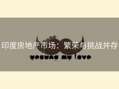 印度房地产市场：繁荣与挑战并存