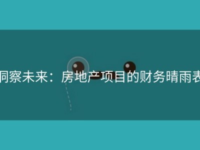 洞察未来：房地产项目的财务晴雨表