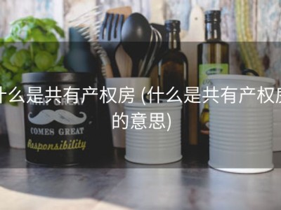 什么是共有产权房 (什么是共有产权房的意思)