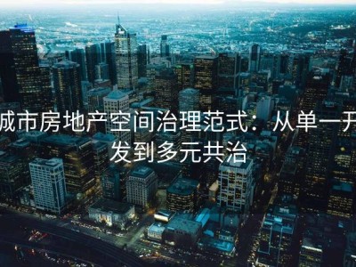城市房地产空间治理范式：从单一开发到多元共治