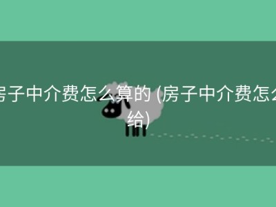房子中介费怎么算的 (房子中介费怎么给)