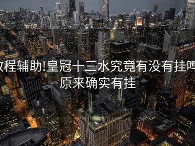 教程辅助!皇冠十三水究竟有没有挂吗”原来确实有挂