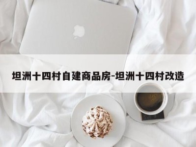 坦洲十四村自建商品房-坦洲十四村改造