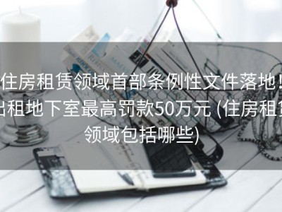 住房租赁领域首部条例性文件落地！出租地下室最高罚款50万元 (住房租赁领域包括哪些)