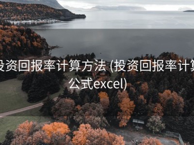 投资回报率计算方法 (投资回报率计算公式excel)