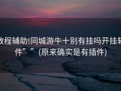 教程辅助!同城游牛十别有挂吗开挂软件””(原来确实是有插件)
