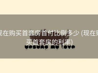 现在购买首套房首付比例多少 (现在购买首套房的利率)