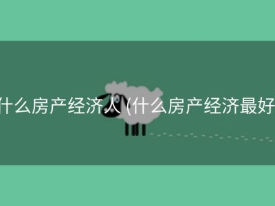 什么房产经济人 (什么房产经济最好)