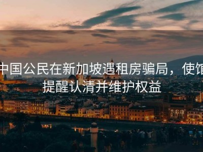 中国公民在新加坡遇租房骗局，使馆提醒认清并维护权益