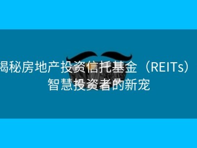 揭秘房地产投资信托基金（REITs）：智慧投资者的新宠