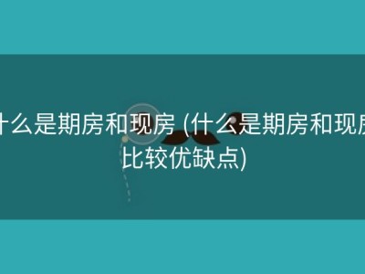 什么是期房和现房 (什么是期房和现房比较优缺点)