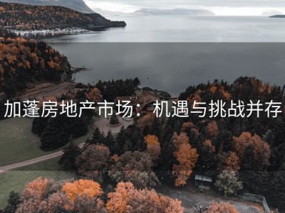 加蓬房地产市场：机遇与挑战并存