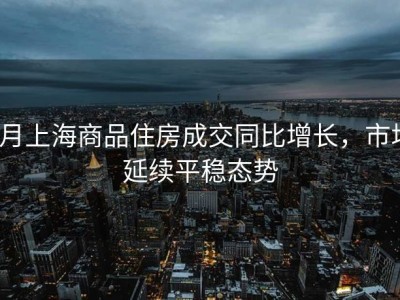 5月上海商品住房成交同比增长，市场延续平稳态势