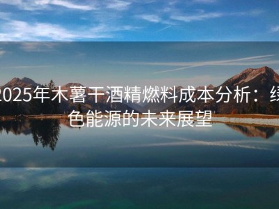 2025年木薯干酒精燃料成本分析：绿色能源的未来展望