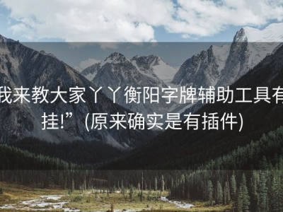 我来教大家丫丫衡阳字牌辅助工具有挂!”(原来确实是有插件)