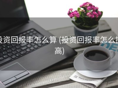 投资回报率怎么算 (投资回报率怎么提高)