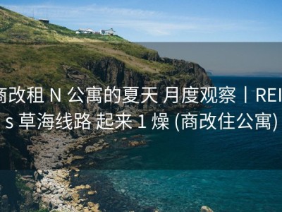 商改租 N 公寓的夏天 月度观察丨REITs 草海线路 起来 1 燥 (商改住公寓)
