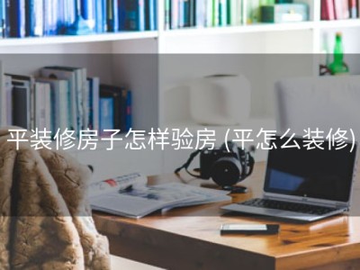 平装修房子怎样验房 (平怎么装修)
