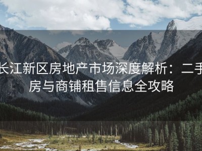长江新区房地产市场深度解析：二手房与商铺租售信息全攻略