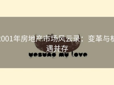 2001年房地产市场风云录：变革与机遇并存