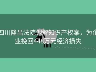 四川隆昌法院调解知识产权案，为企业挽回448万元经济损失