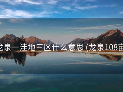 龙泉一洼地三区什么意思 (龙泉108亩)