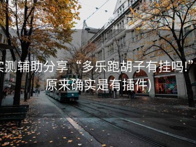 实测辅助分享“多乐跑胡子有挂吗!”(原来确实是有插件)
