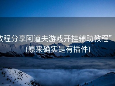 教程分享阿道夫游戏开挂辅助教程””(原来确实是有插件)