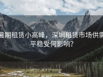 暑期租赁小高峰，深圳租赁市场供需平稳受何影响？