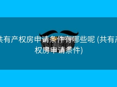 共有产权房申请条件有哪些呢 (共有产权房申请条件)