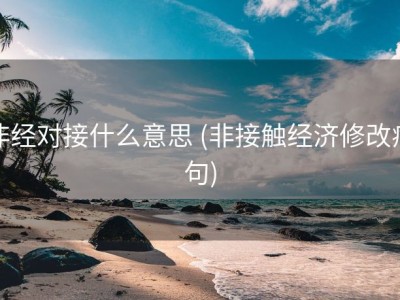 非经对接什么意思 (非接触经济修改病句)