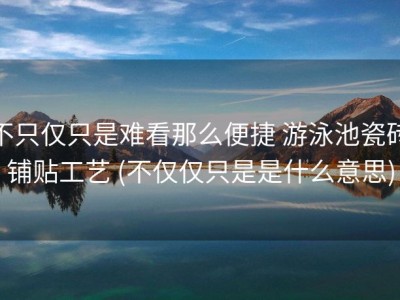 不只仅只是难看那么便捷 游泳池瓷砖铺贴工艺 (不仅仅只是是什么意思)
