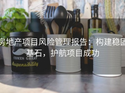 房地产项目风险管理报告：构建稳固基石，护航项目成功