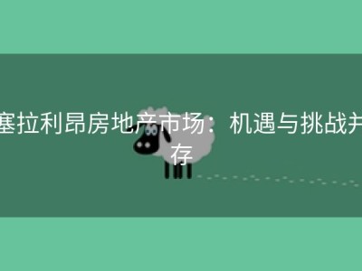 塞拉利昂房地产市场：机遇与挑战并存