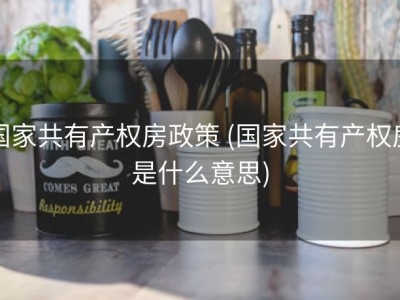 国家共有产权房政策 (国家共有产权房是什么意思)